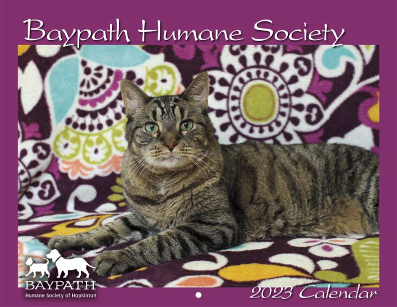 Baypath Humane Society Calendar Payment Fundraising