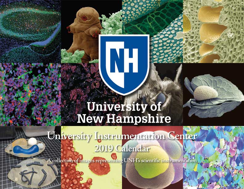 UNH Instrumentation Calendar Payment Fundraising