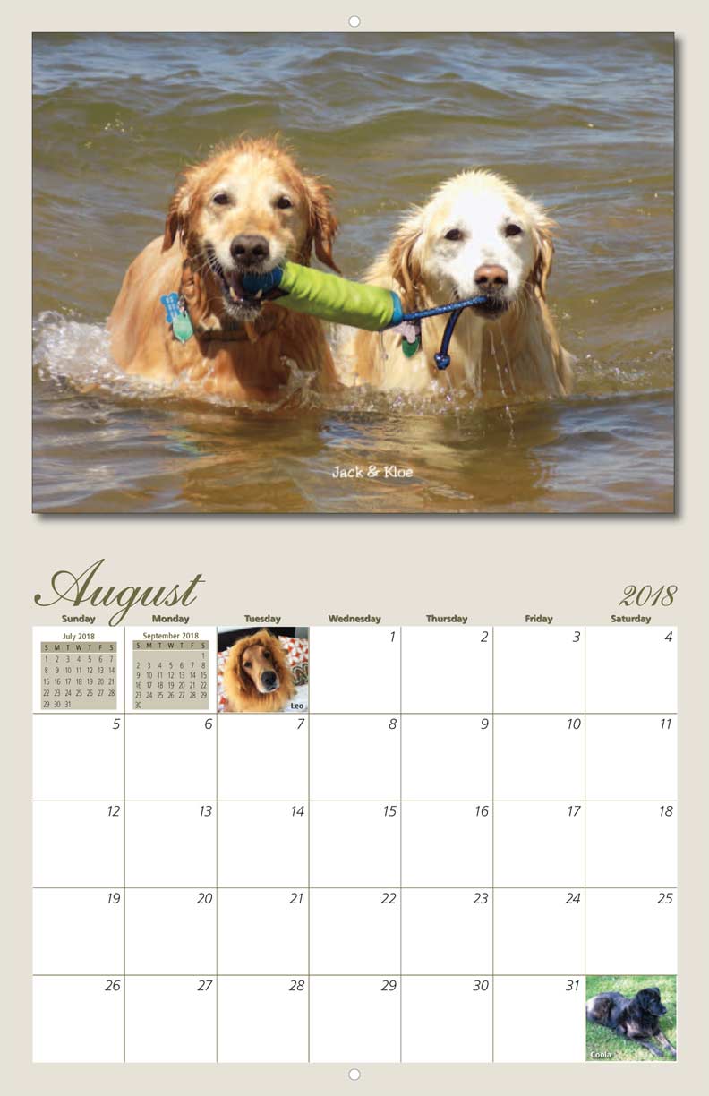 Homeward Bound Golden Retriever Rescue 2018 Calendar Fundraising