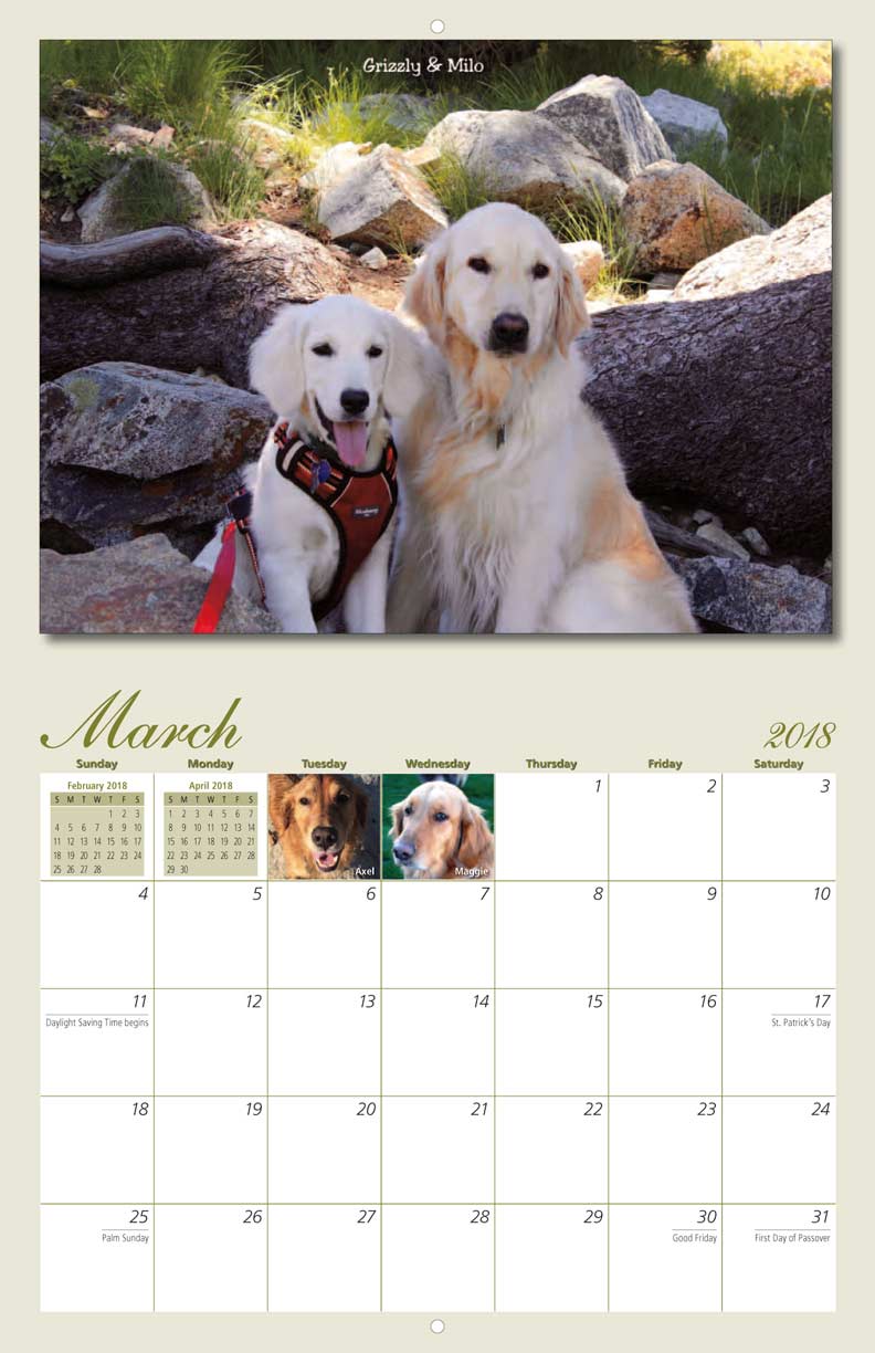 Homeward Bound Golden Retriever Rescue 2018 Calendar Fundraising