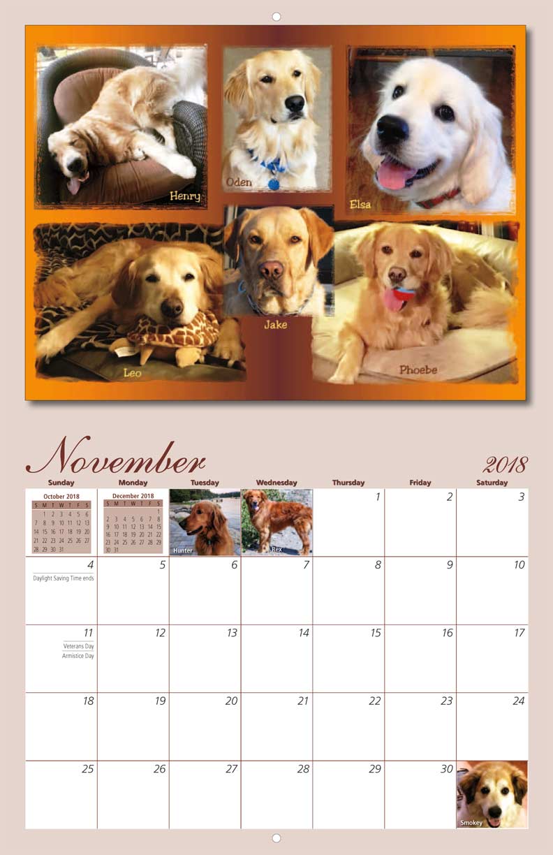 Homeward Bound Golden Retriever Rescue 2018 Calendar Fundraising