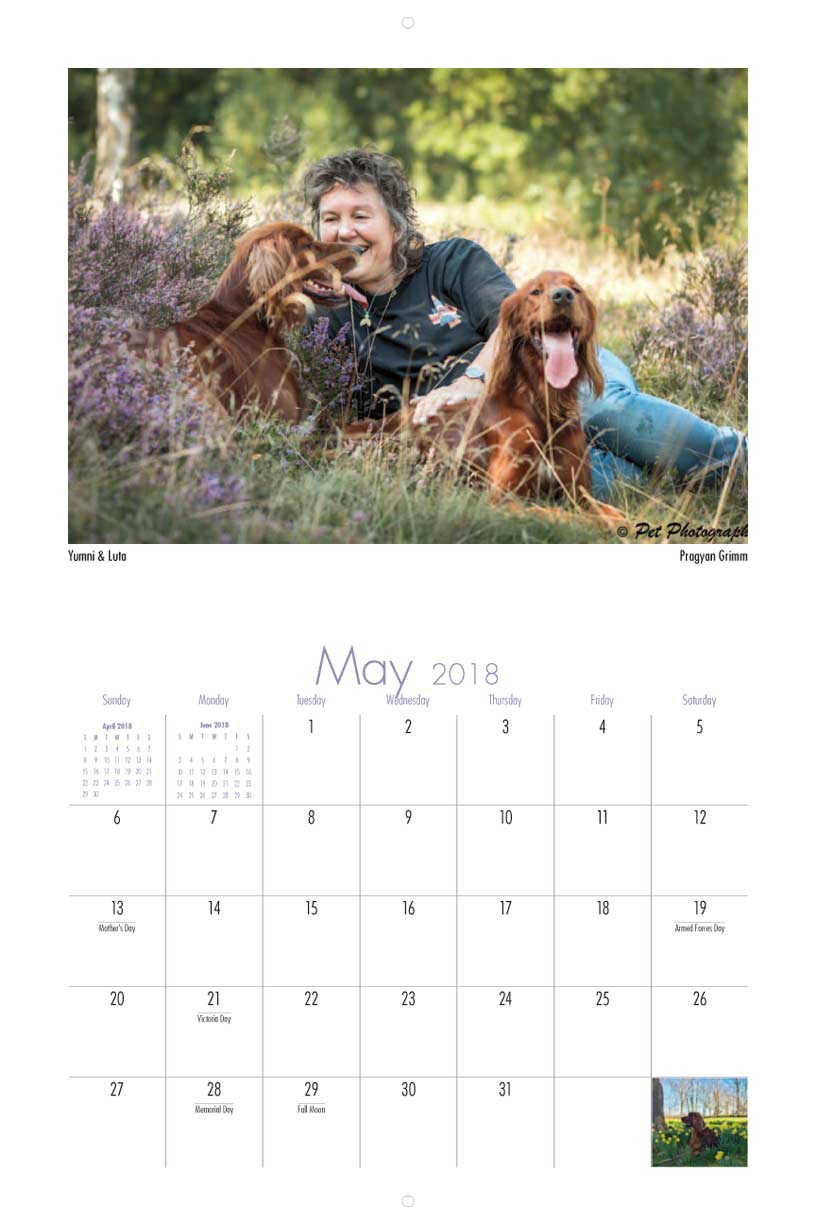 Irish Setter Lovers 2018 Calendar Fundraising