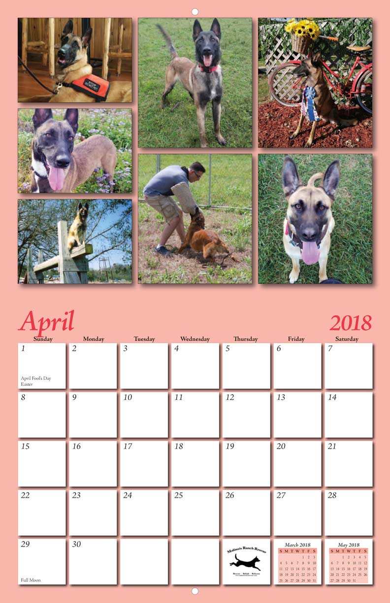 Malinois Ranch Rescue 2018 Calendar Fundraising