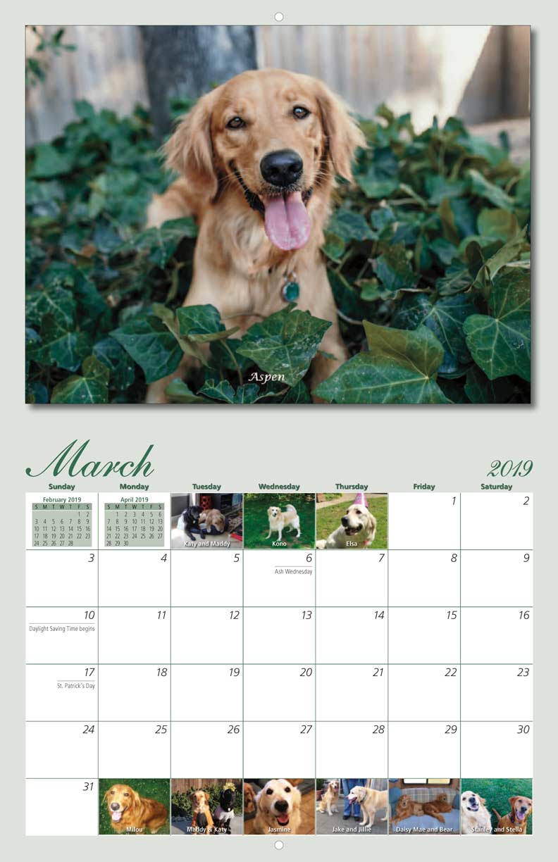 Homeward Bound Golden Retriever Rescue 2019 Calendar Fundraising