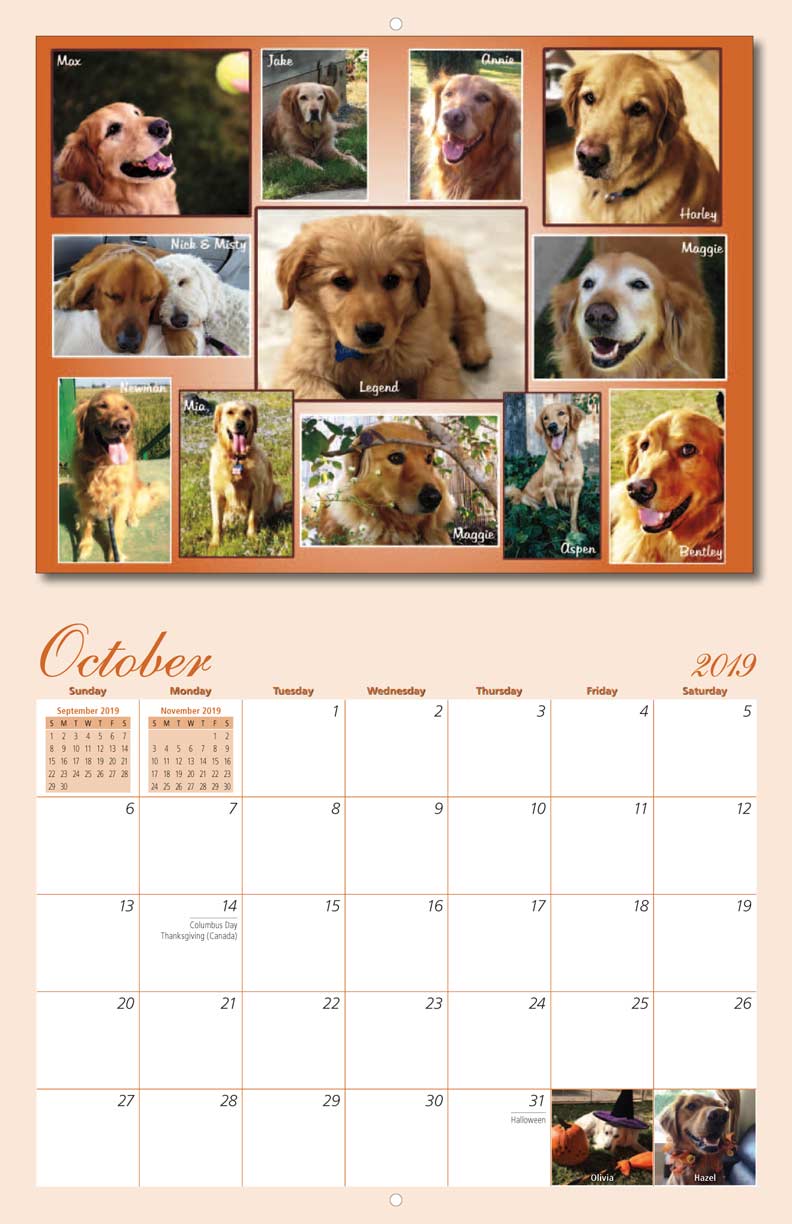 Homeward Bound Golden Retriever Rescue 2019 Calendar Fundraising