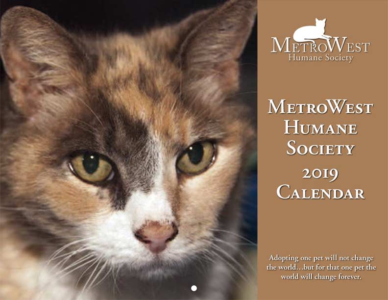 MetroWest Humane Society Calendar Payment Fundraising