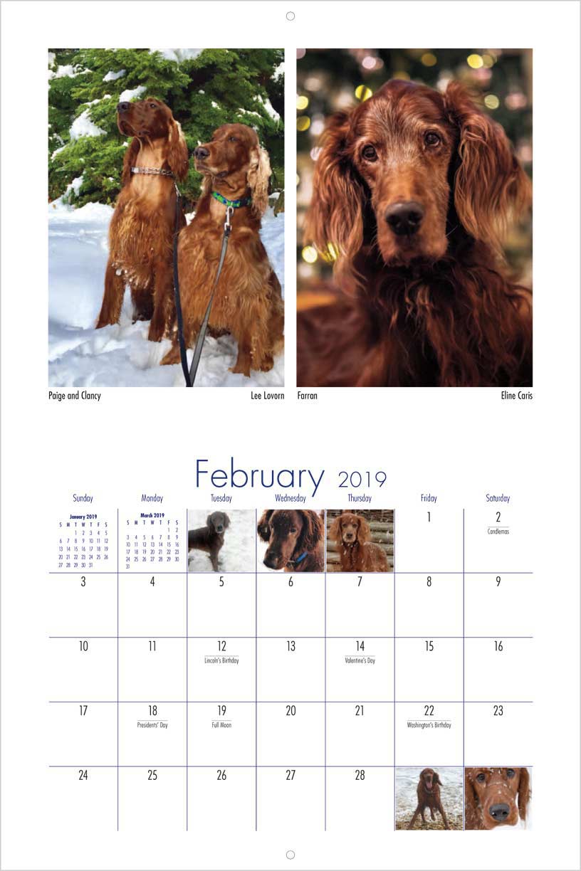 Irish Setter Lovers 2019 Calendar Fundraising