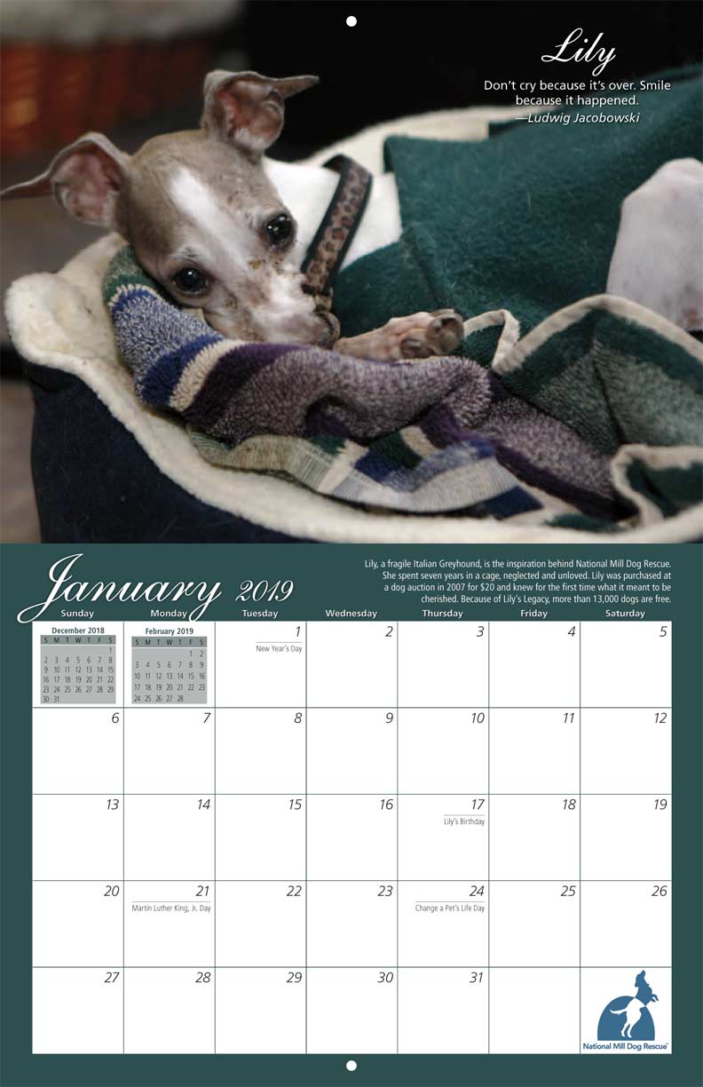 National Mill Dog Rescue 2019 Calendar Fundraising