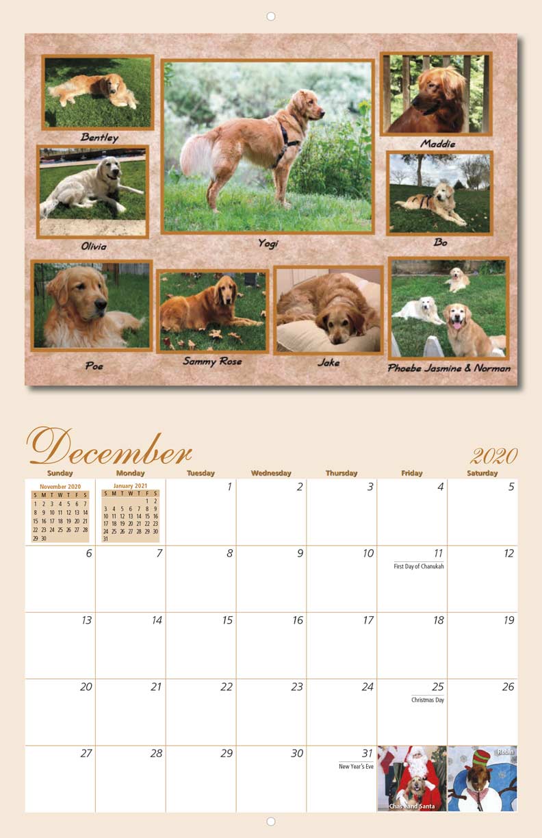 Homeward Bound Golden Retriever Rescue 2020 Calendar Fundraising