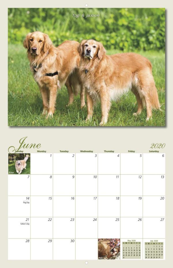 Homeward Bound Golden Retriever Rescue 2020 Calendar Fundraising