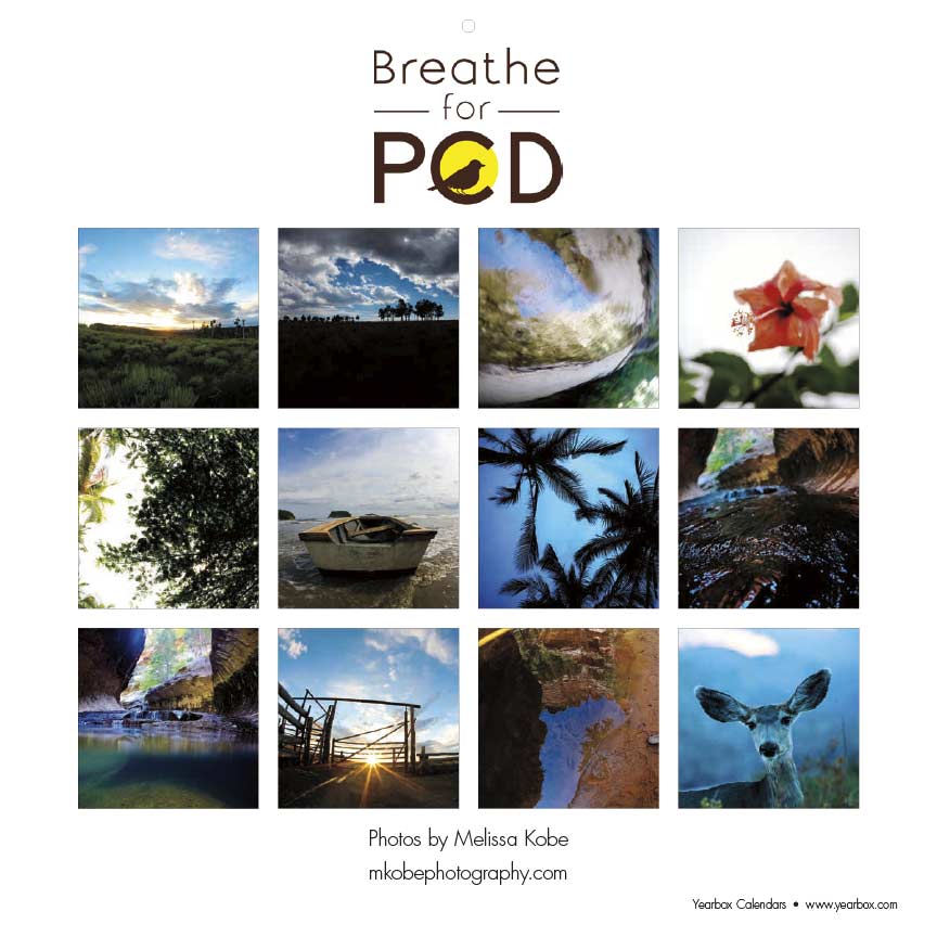 Breathe for PCD 2020 Calendar Fundraising