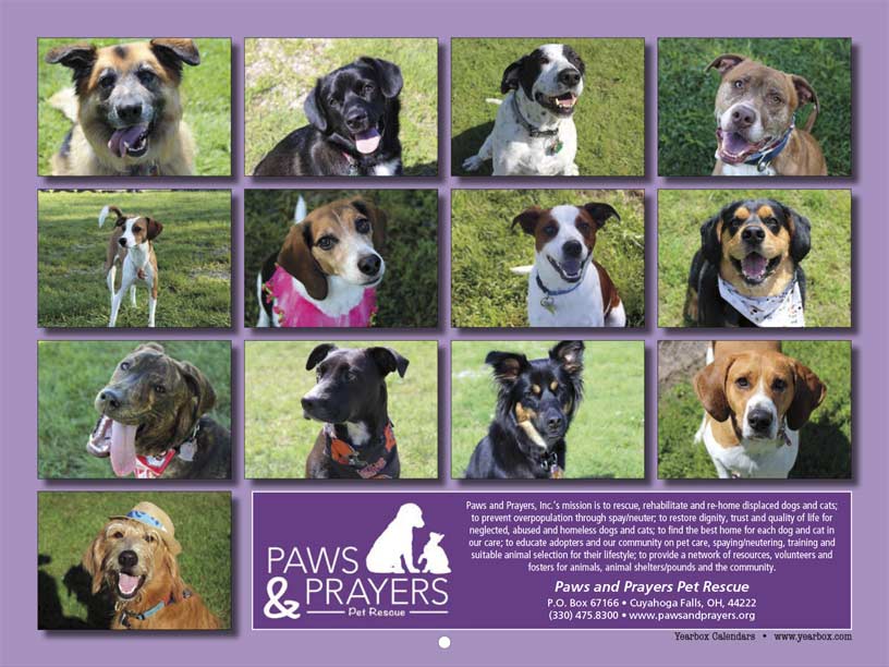 https://www.yearbox.com/wp-content/uploads/2019/09/paws-and-prayers-pet-rescue-calendar-back-cover.jpg