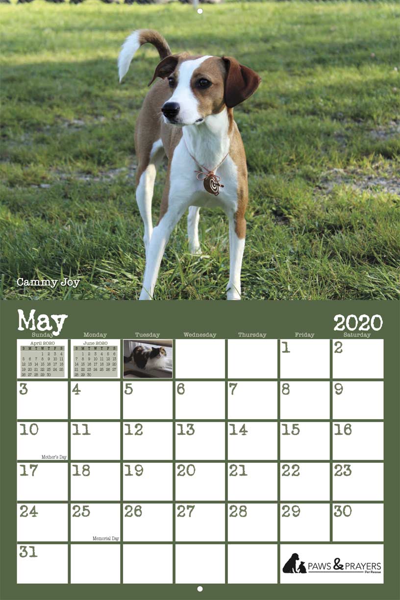 Paws and Prayers Pet Rescue 2020 Calendar Fundraising