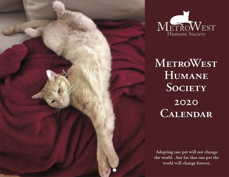 MetroWest Humane Society 2020 Calendar Fundraising