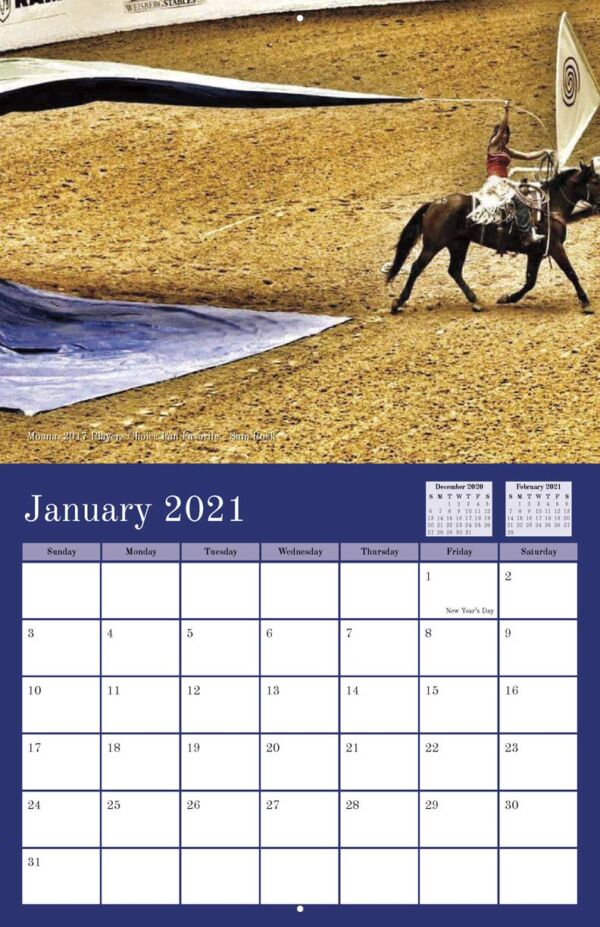 Colorado Mustangs 2020 Calendar Fundraising