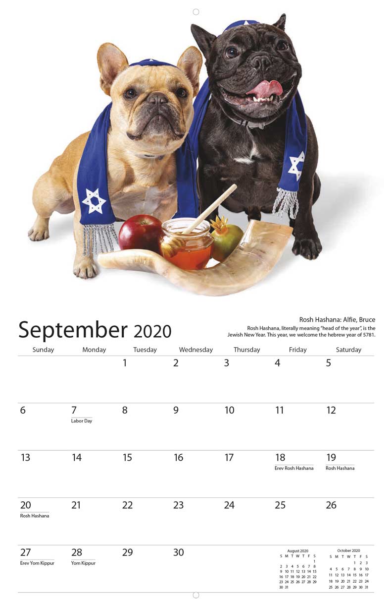 Nice Jewish Dogs 2020 Calendar Fundraising