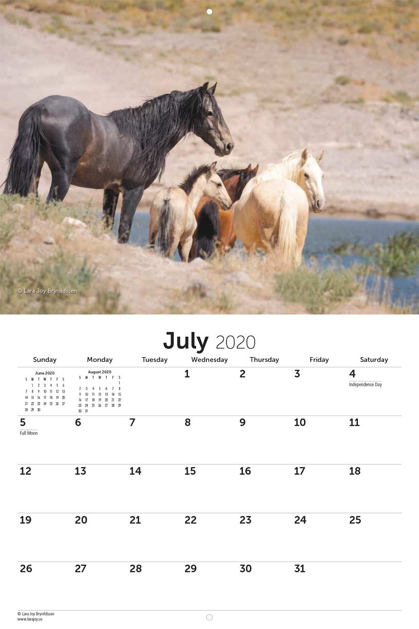 American Wild Horse Campaign 2020 Calendar Fundraising