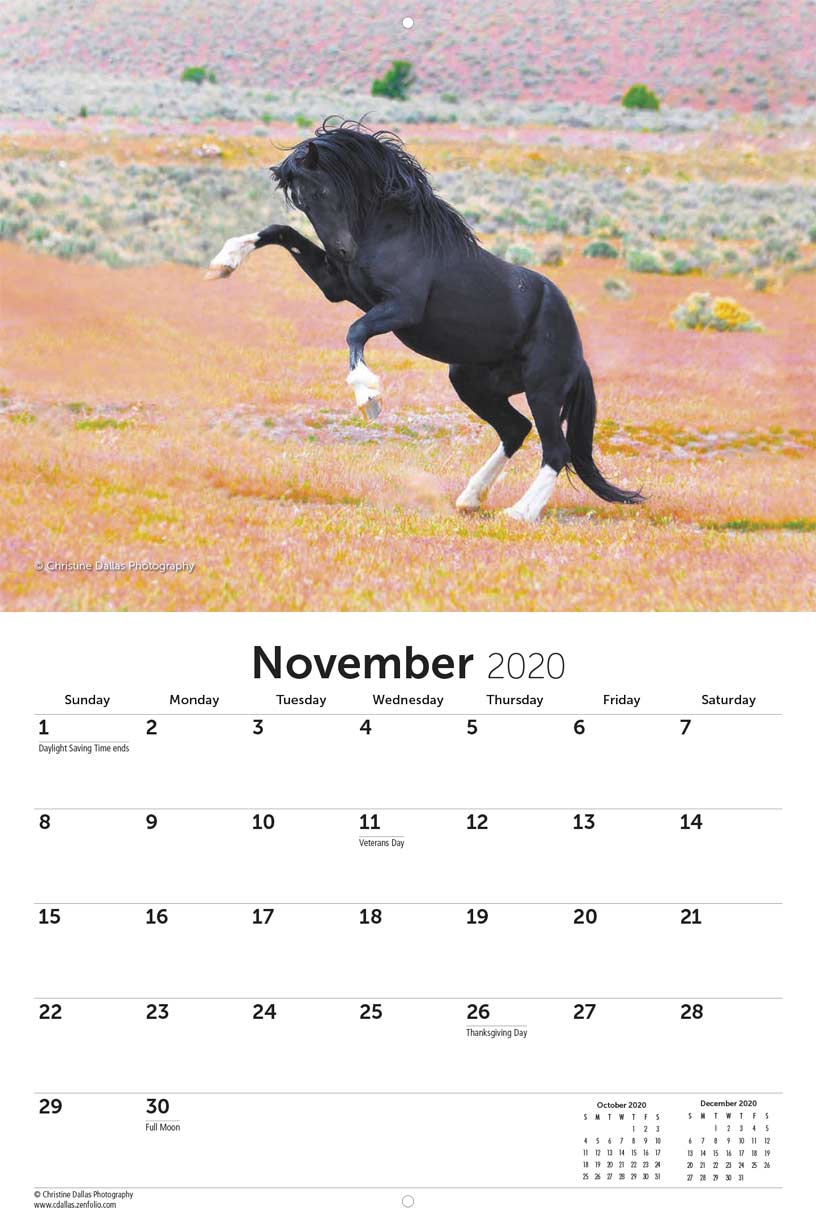 American Wild Horse Campaign 2020 Calendar Fundraising