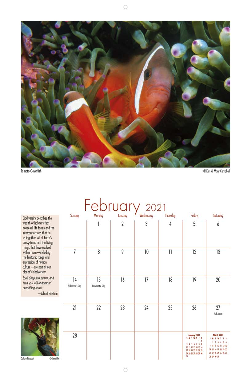 GLOBIO/NAAEE Biodiversity 2021 Calendar - Yearbox Calendars