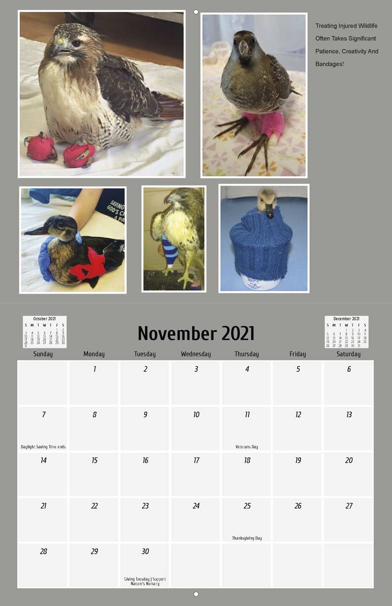 Nature's Nursery 2021 Calendar