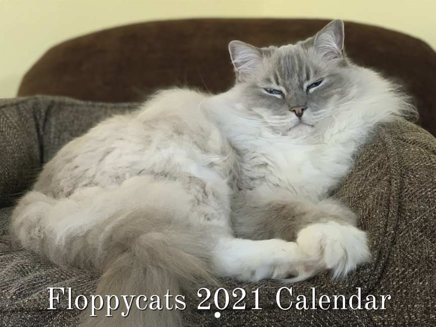 https://www.yearbox.com/wp-content/uploads/2020/10/floppycat-calendar-cover.jpg