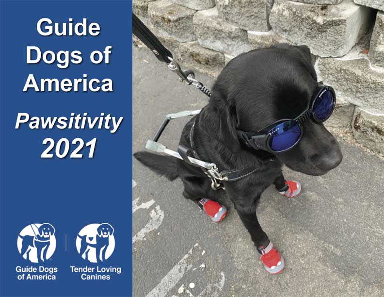 Guide Dogs of America Pawsitivity 2021 Calendar