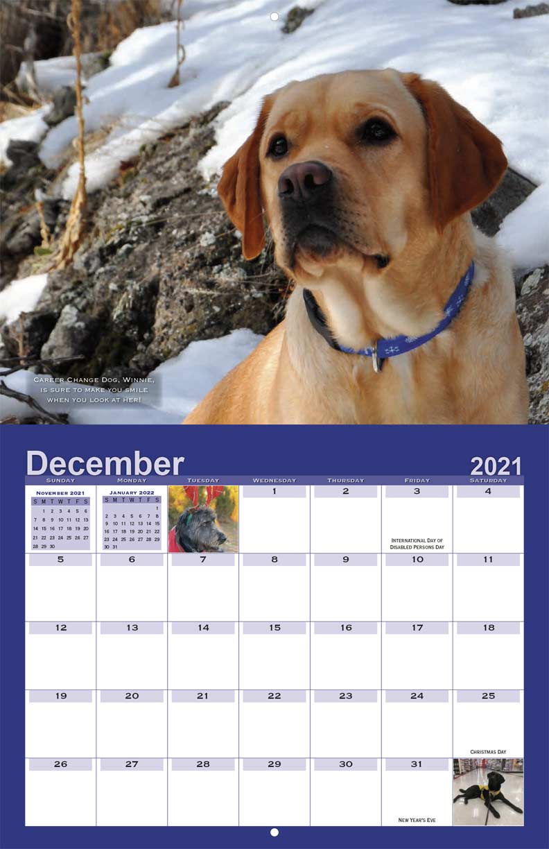 Guide Dogs of America Pawsitivity 2021 Calendar