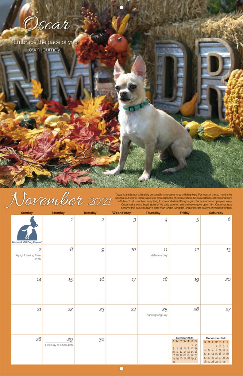 National Mill Dog Rescue 2021 Calendar Fundraising