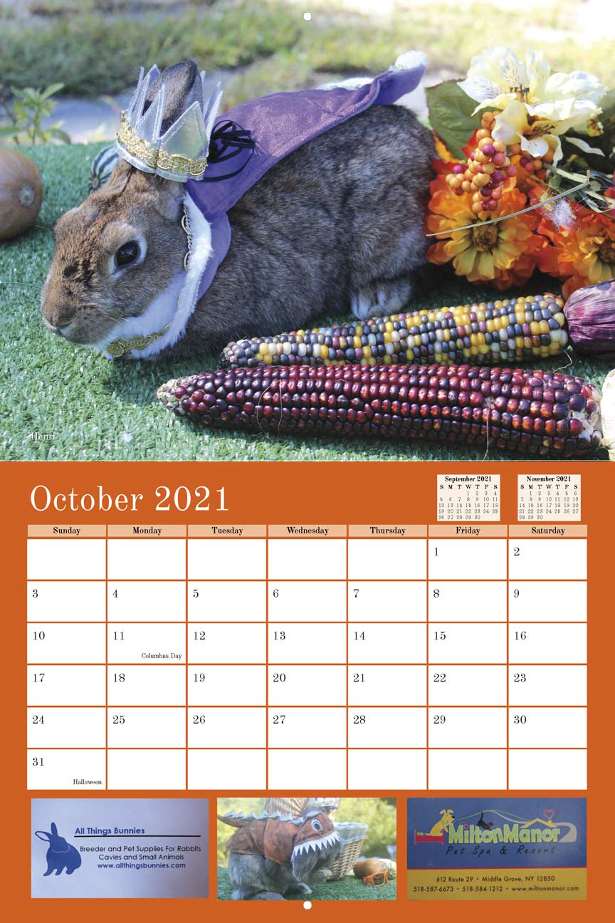 Rabbit Rescue 2021 Calendar Fundraising