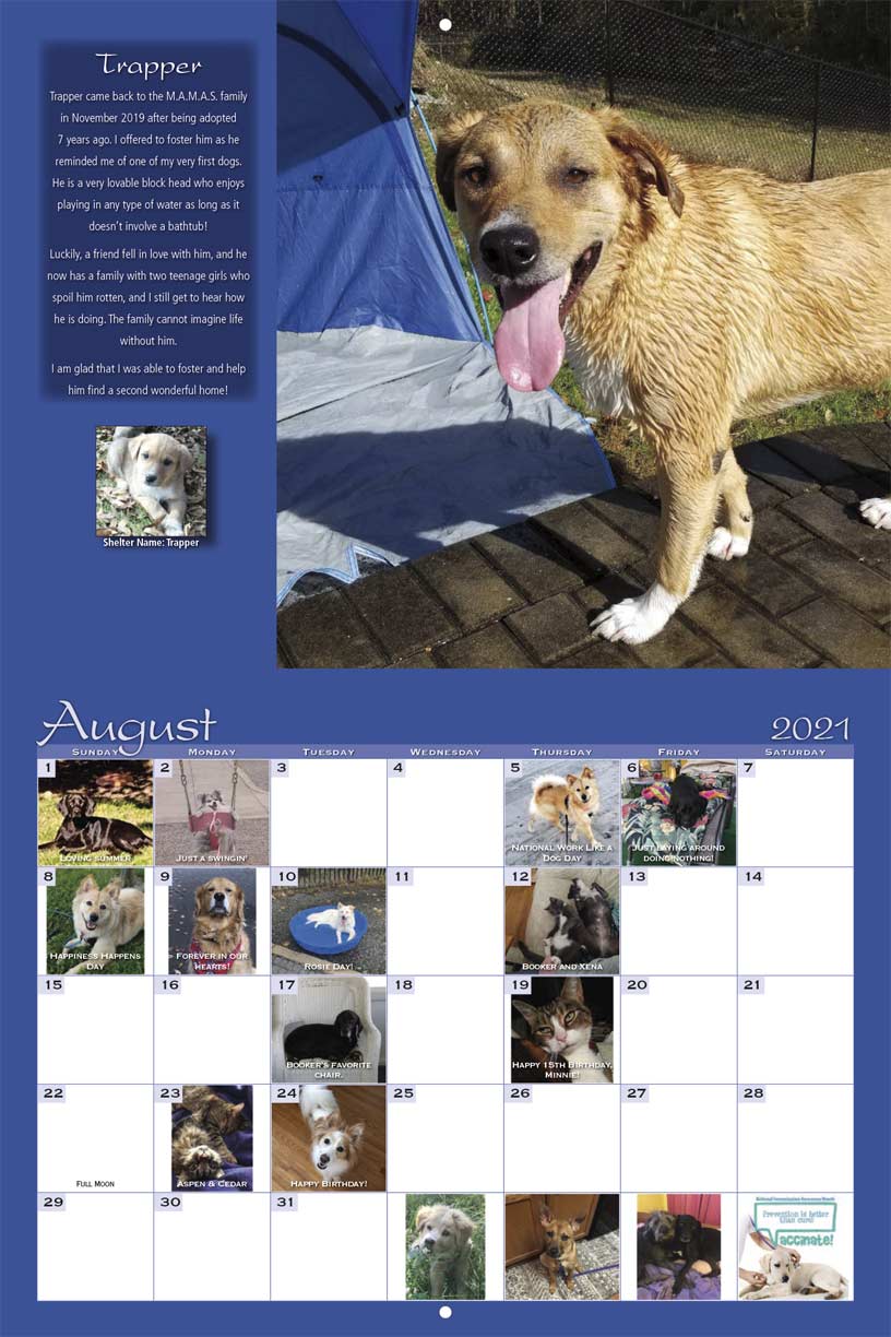 Mary Ann Morris Animal Society 2021 Calendar Fundraising