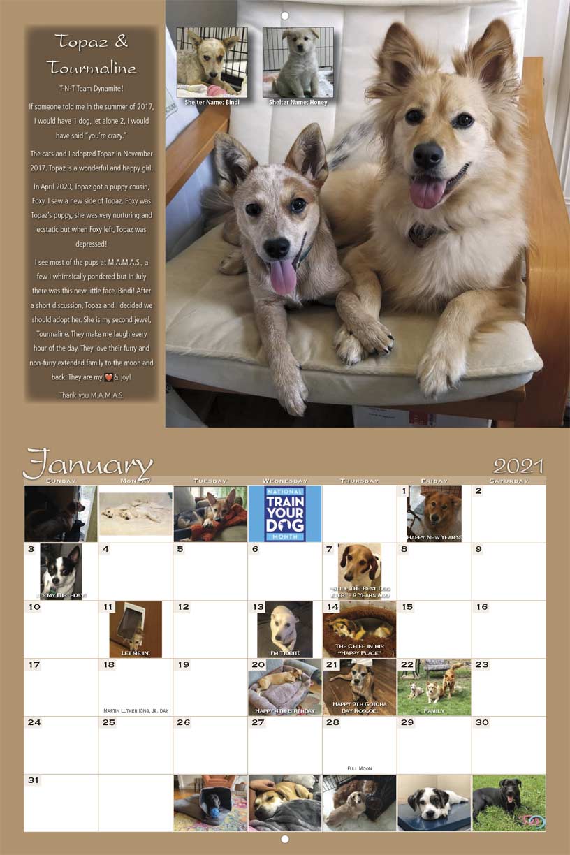 Mary Ann Morris Animal Society 2021 Calendar Fundraising