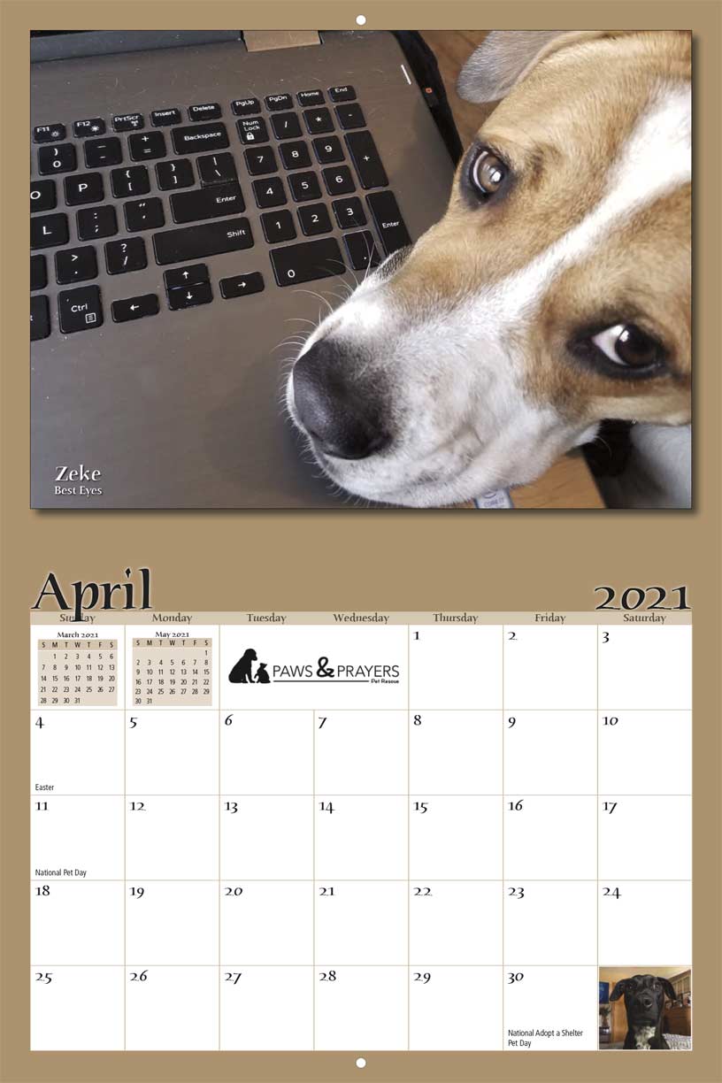 CALENDAR — Family Pet Advocates