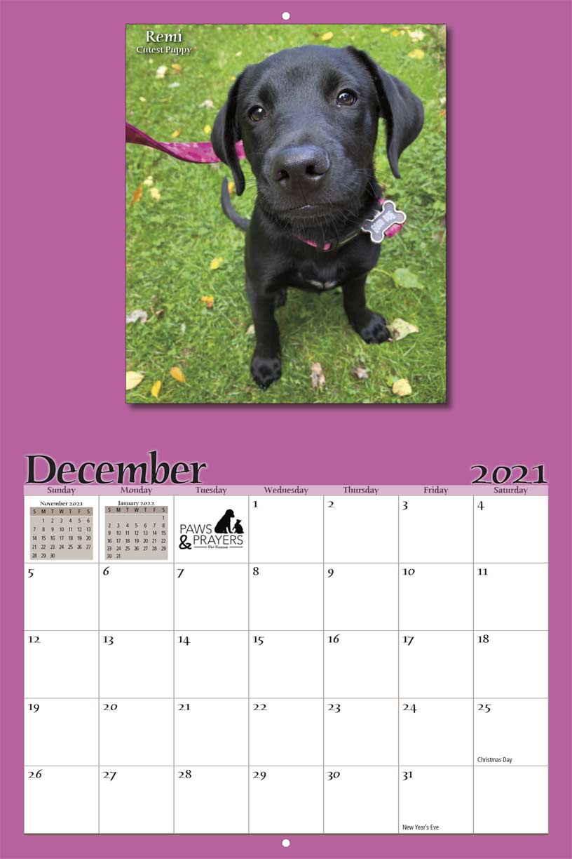 Paws and Prayers Pet Rescue 2021 Calendar Fundraising