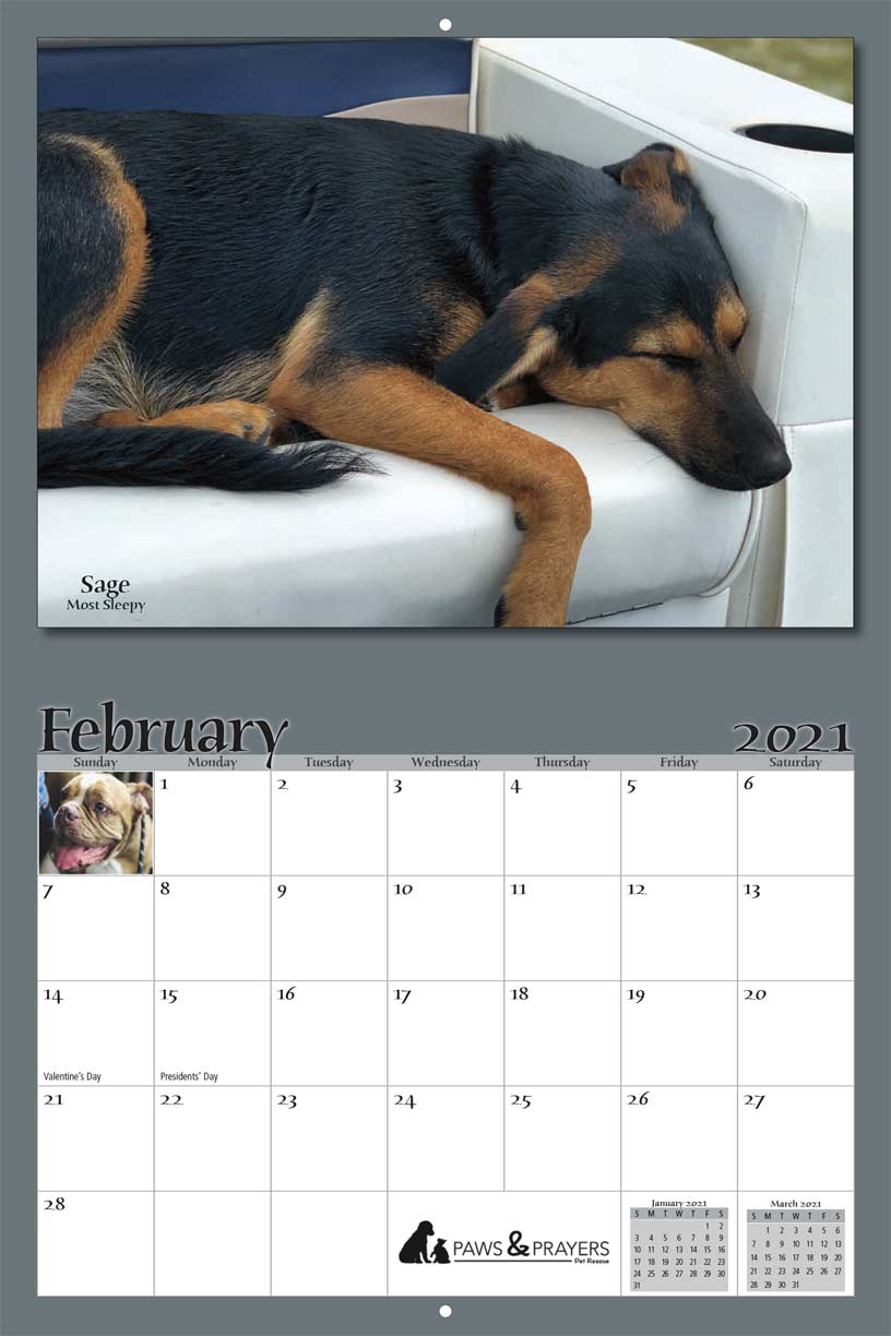 CALENDAR — Family Pet Advocates