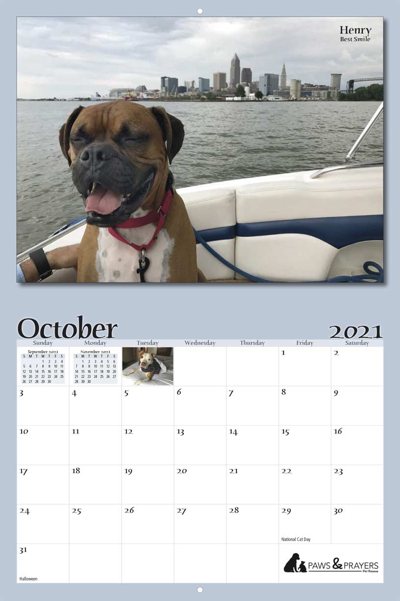 CALENDAR — Family Pet Advocates