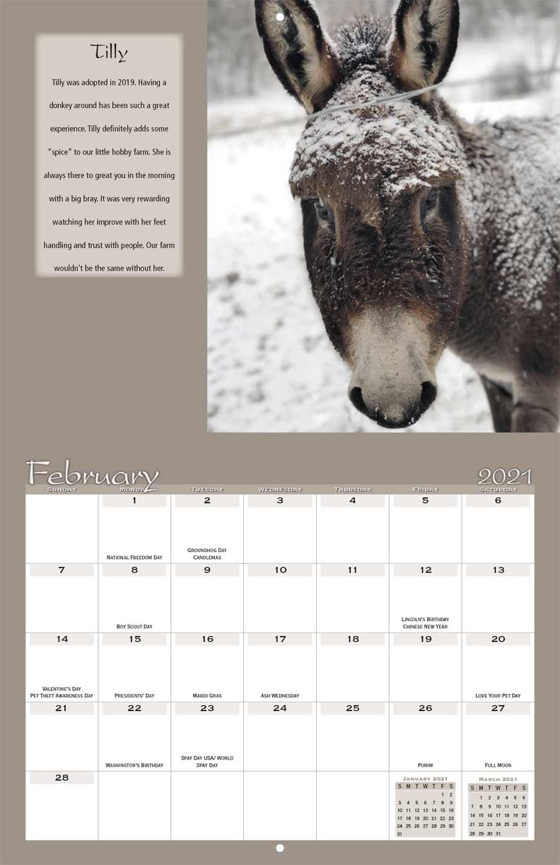 Save the Brays Donkey Rescue 2021 Calendar Fundraising