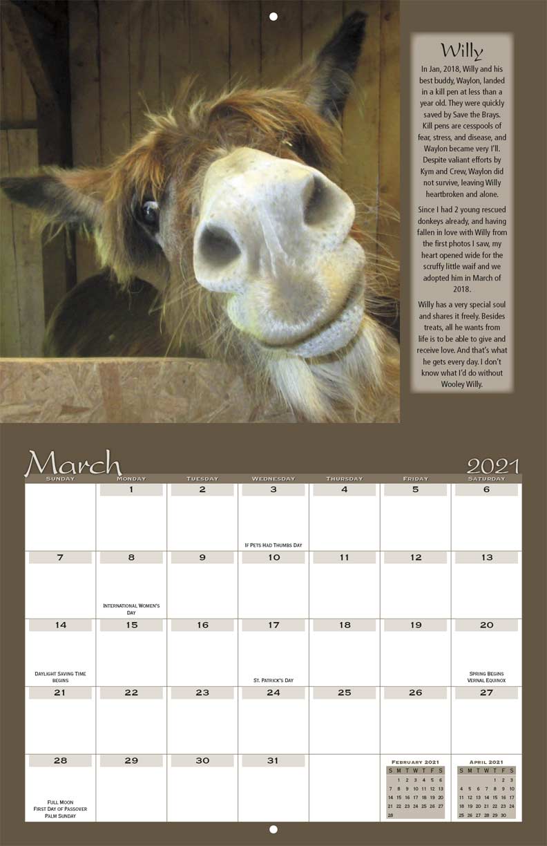 Save the Brays Donkey Rescue 2021 Calendar Fundraising