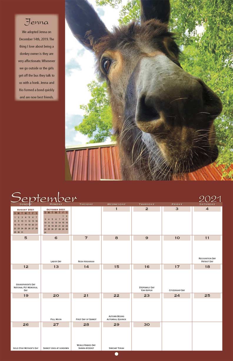 Save the Brays Donkey Rescue 2021 Calendar Fundraising