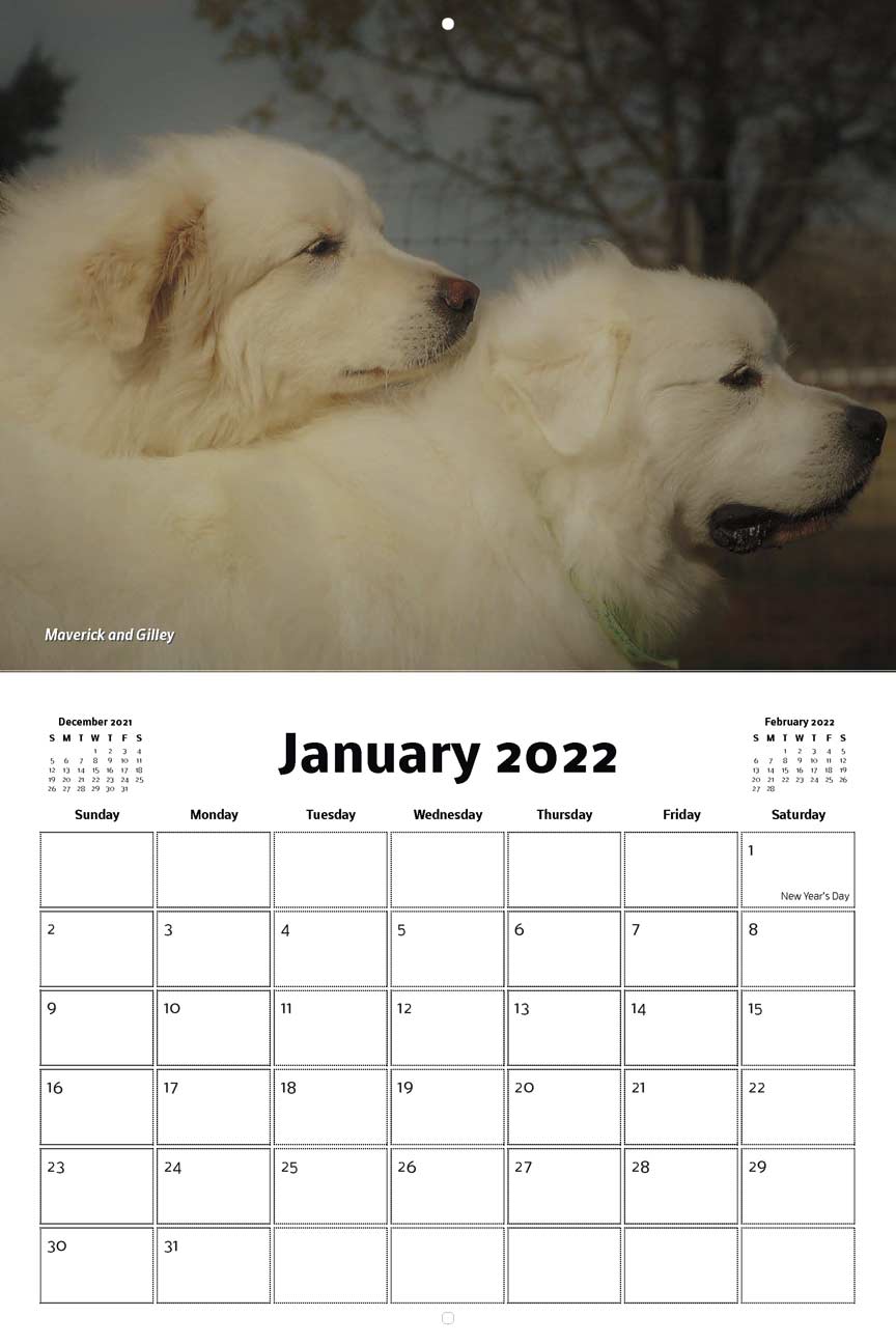 jack and his peers 2022 calendar fundraising