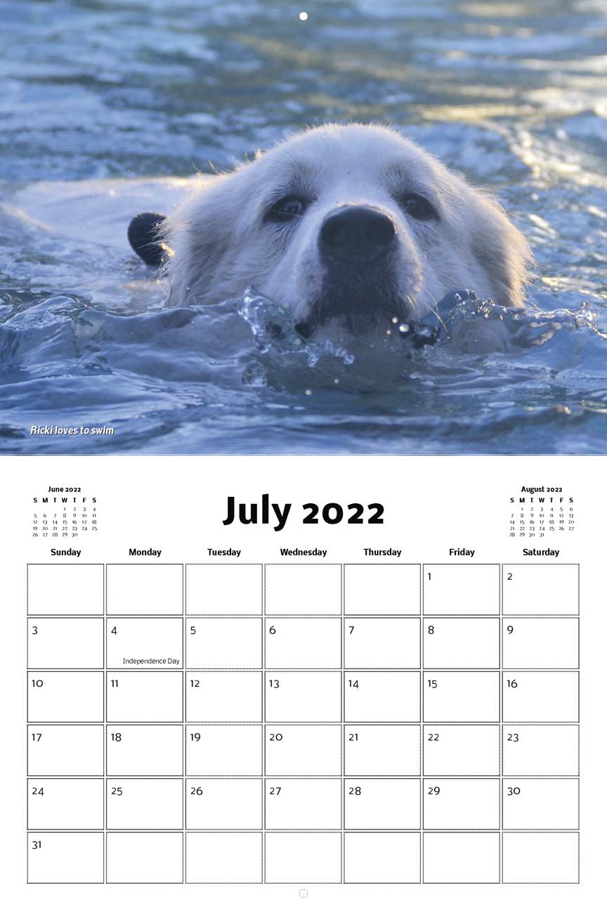 Jack And His Peers 2022 Calendar Fundraising