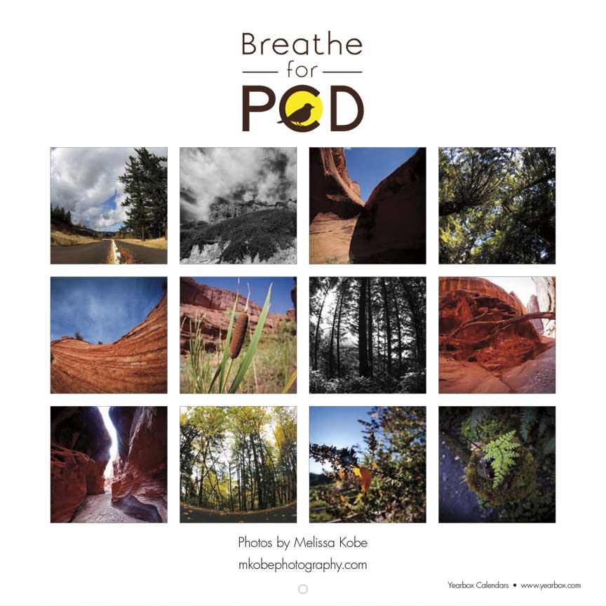 Breathe for PCD 2022 Calendar Yearbox Calendars