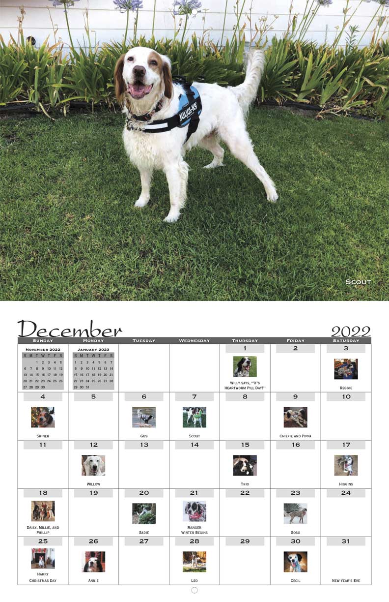 Southwest English Setter Rescue 2022 Calendar Fundraising