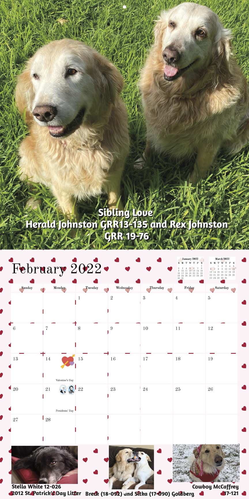 Gold Ribbon Rescue 2022 Calendar Fundraising