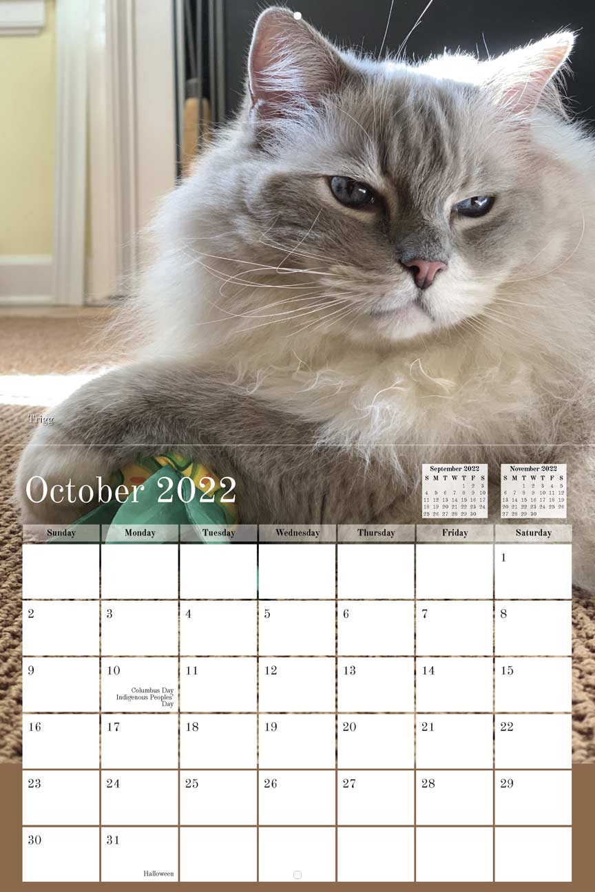 Floppycats 2022 Calendar Fundraising