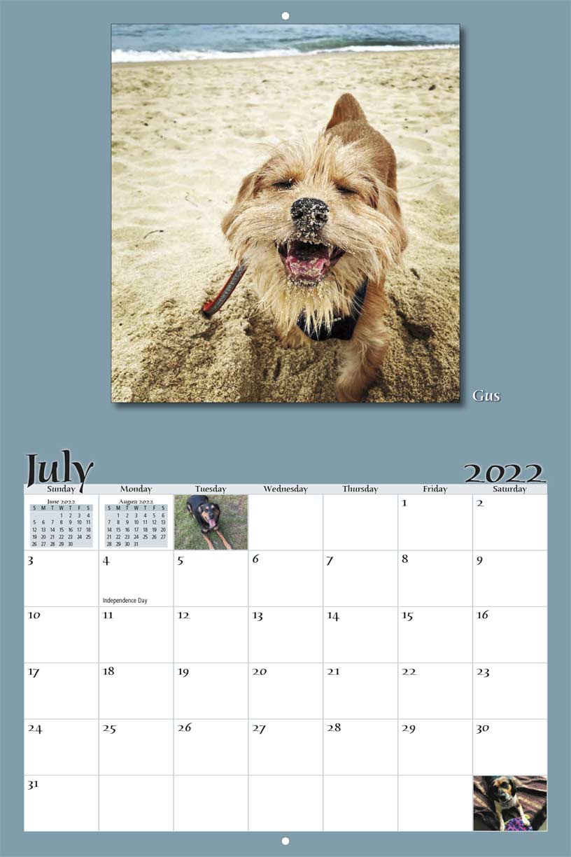 Paws and Prayers Pet Rescue 2022 Calendar Fundraising