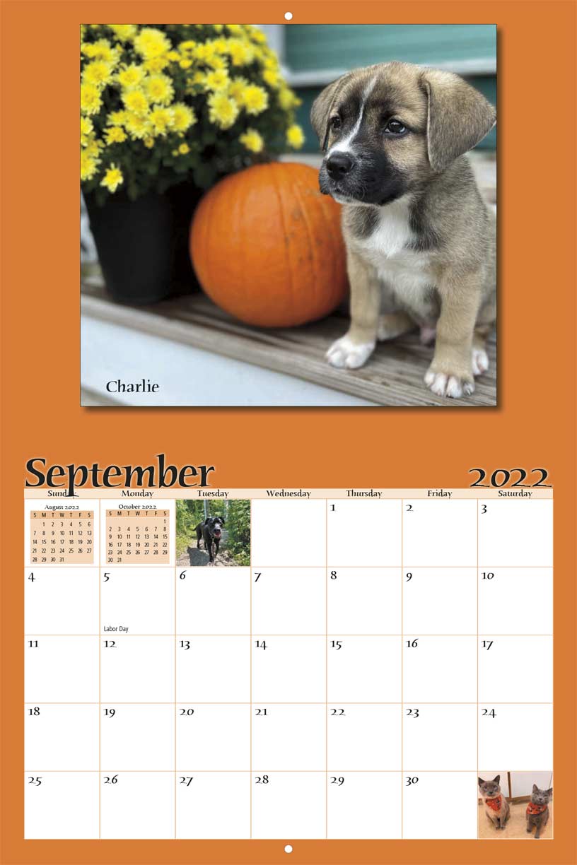 Paws and Prayers Pet Rescue 2022 Calendar Fundraising