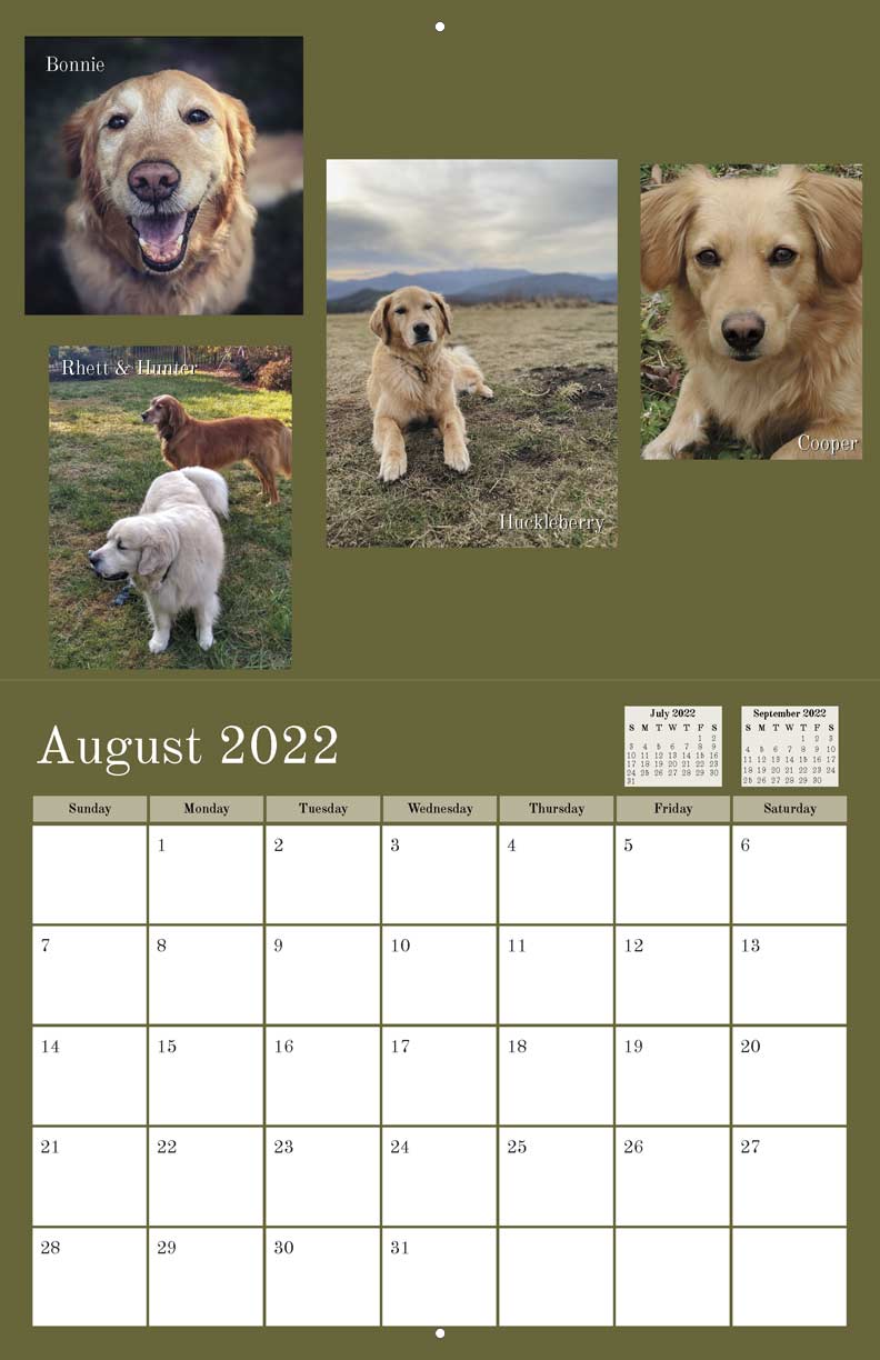 Triad Golden Retriever Rescue 2022 Calendar Fundraising