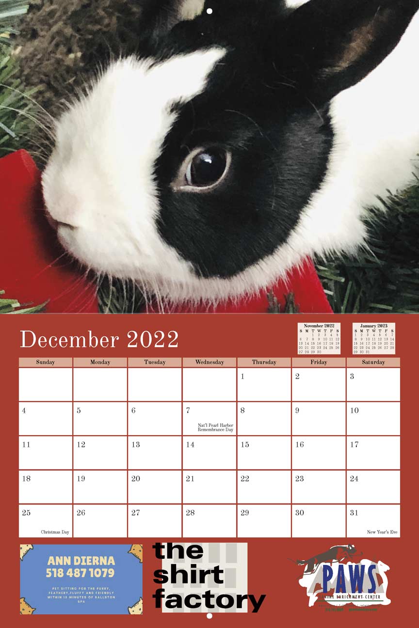 Rabbit Rescue 2022 Calendar Fundraising