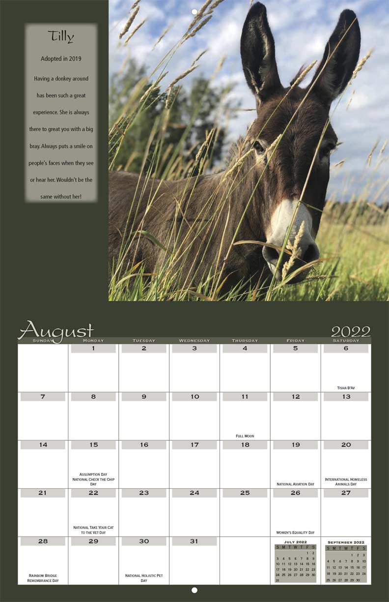 Save the Brays Donkey Rescue 2022 Calendar Fundraising