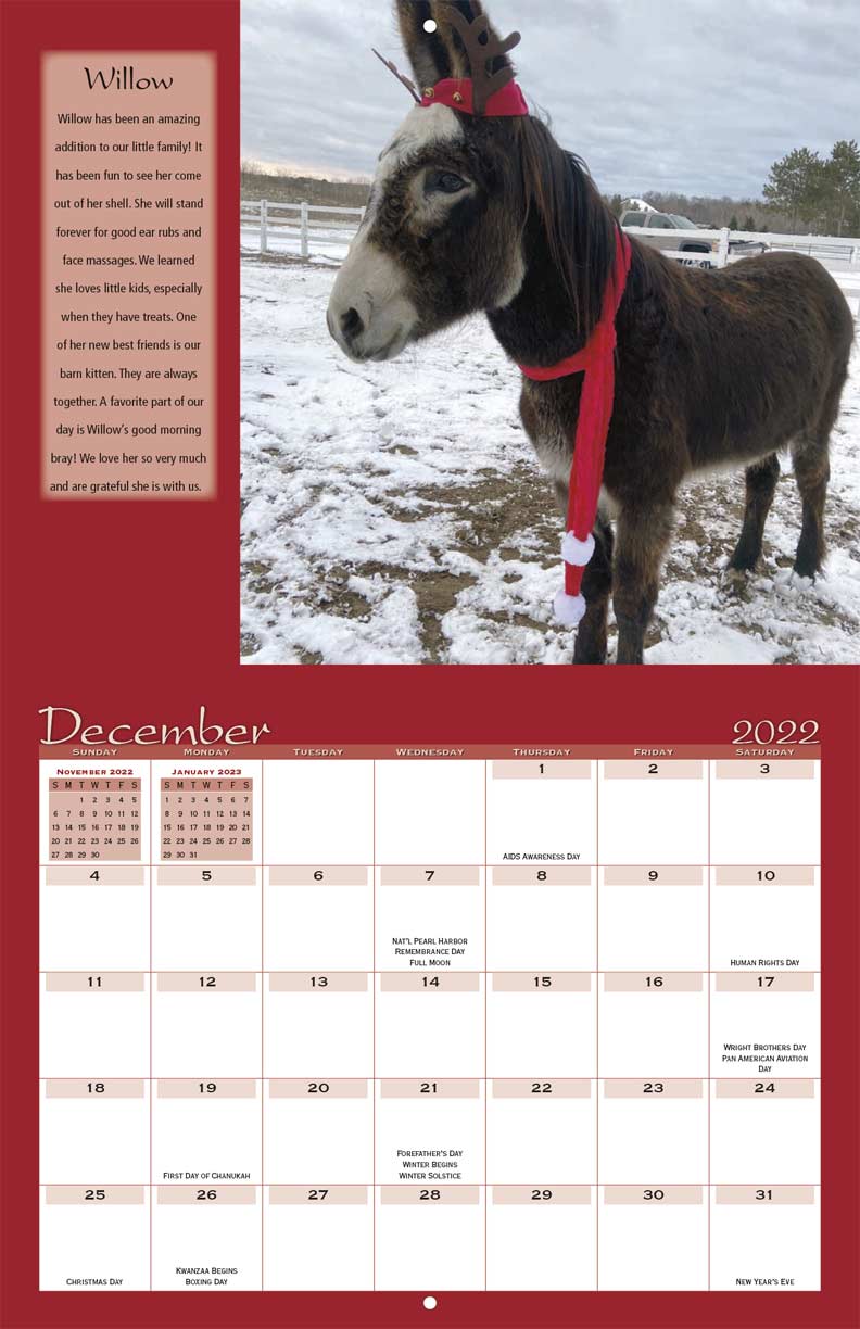 Save the Brays Donkey Rescue 2022 Calendar Fundraising